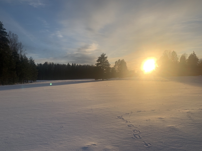 ������� ������� ����� - ���������� ������ ������ ����