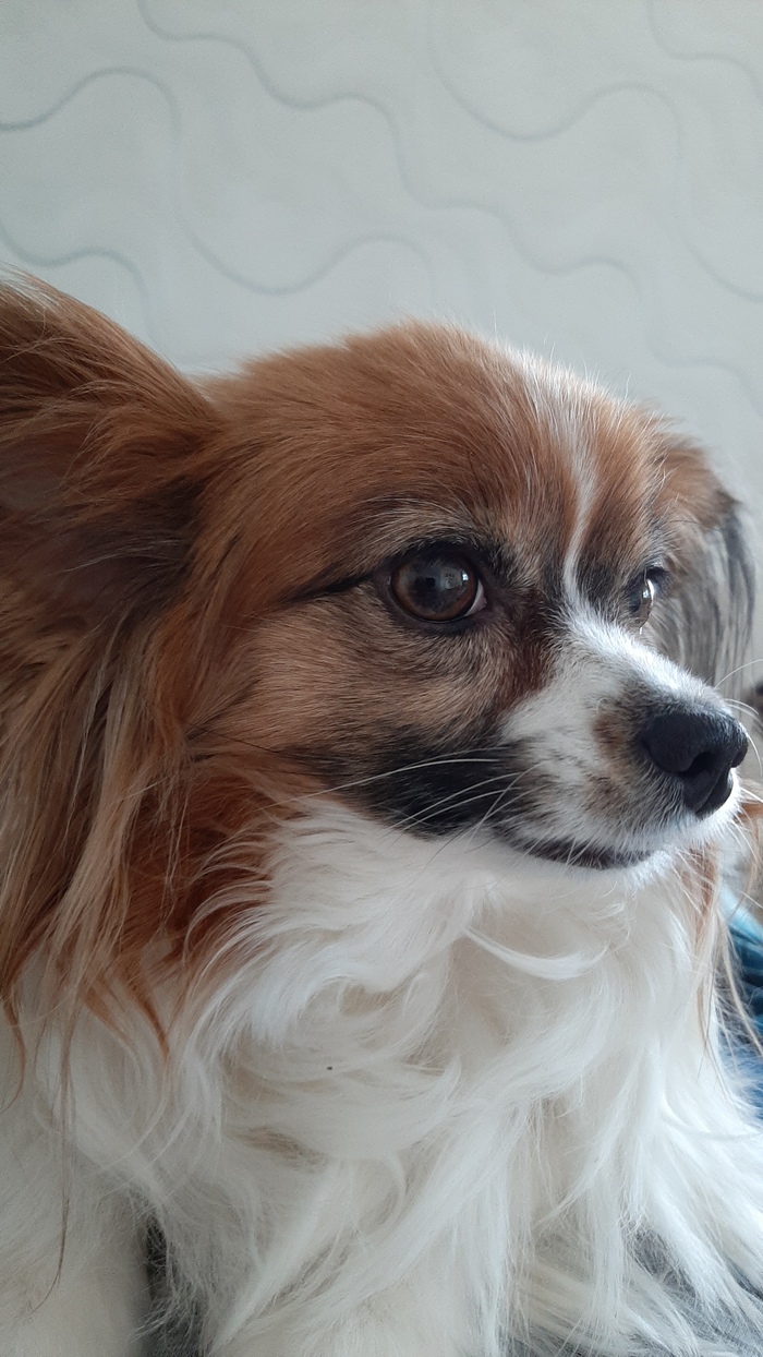 Тут плюсцов отсыпают? Можно я рядом?