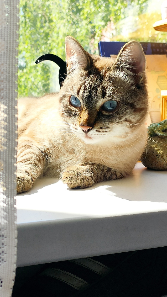 За красивые глаза