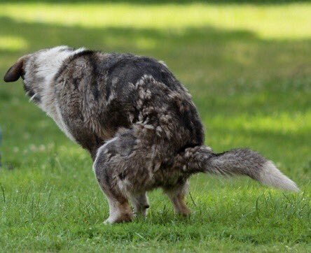 � ��� ��� �������� ������