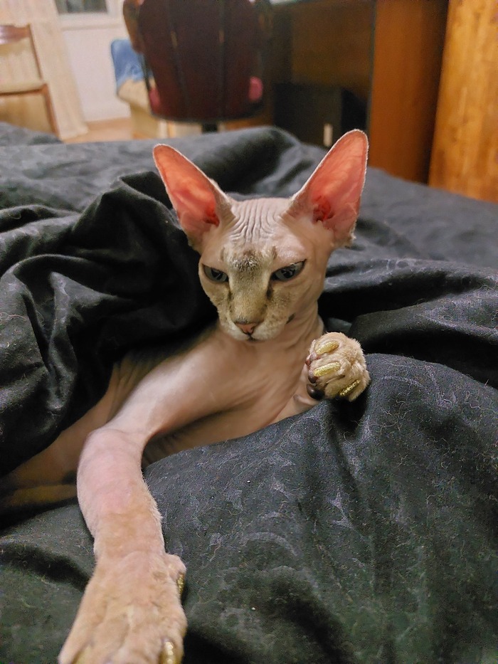 �� ����� �����