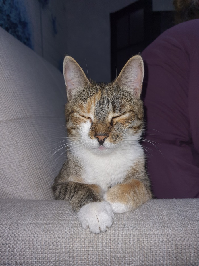 А мы тоже плюсиков хотим...