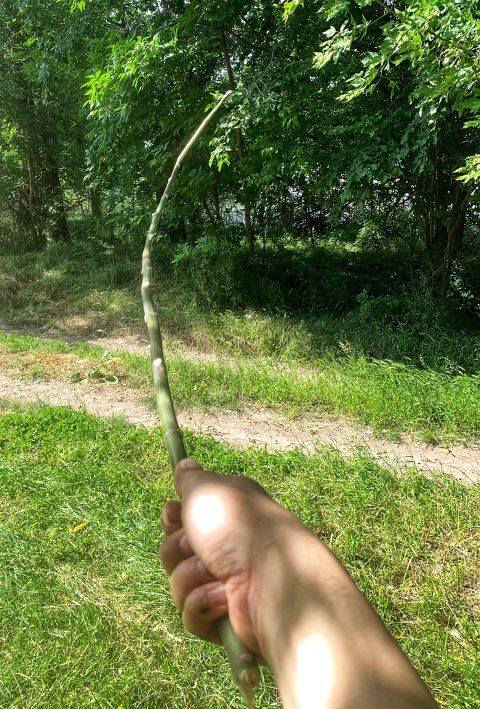 Меч Короля !!!