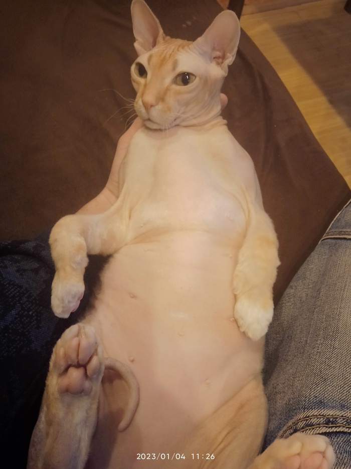    ,  !