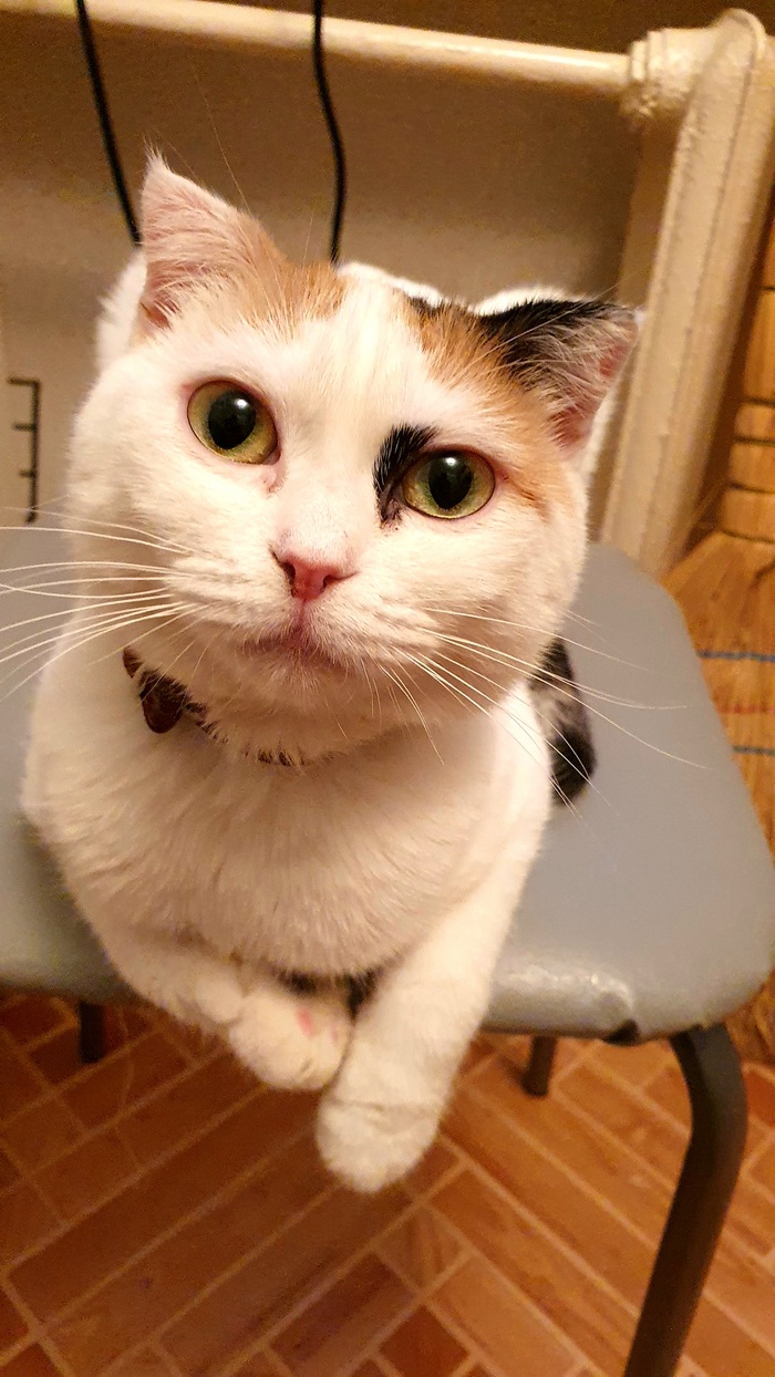 � ���� �������� ���!