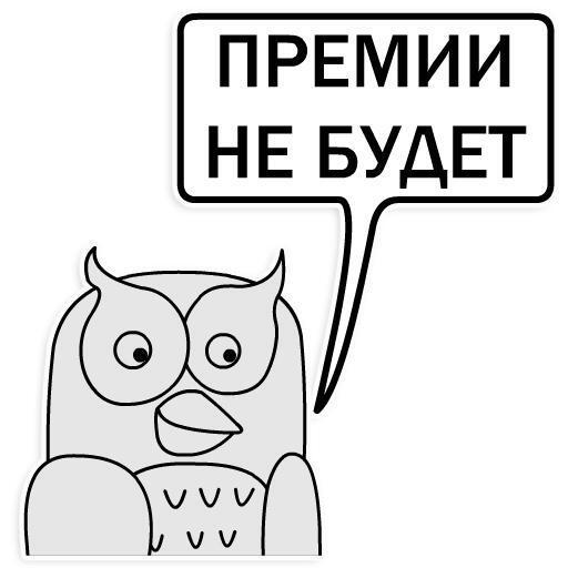 ���� ��� ��������������