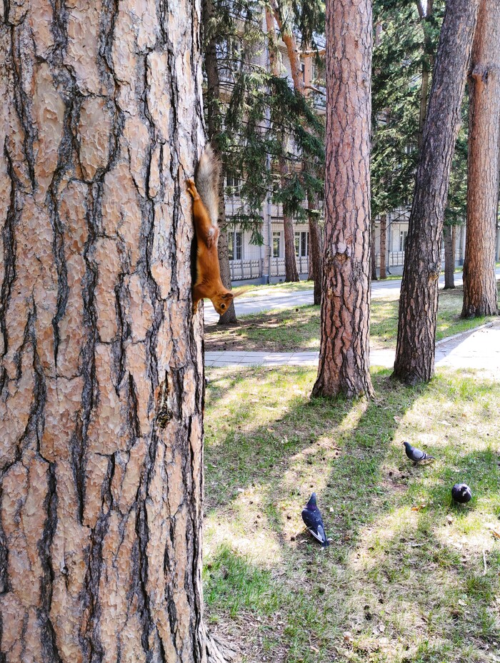 ����� � ����� �����