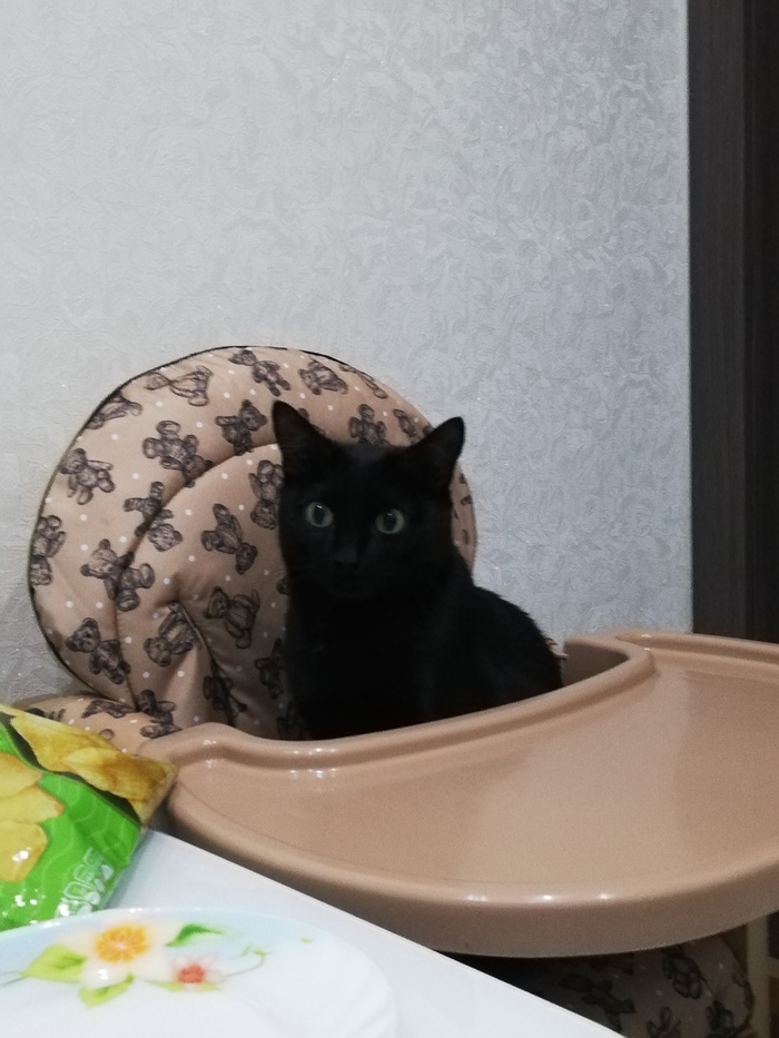 �������, ��� ������ ������ ������, � ��� ��� ��� ��� � ����)