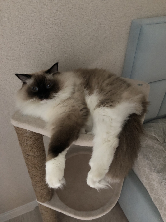 ������� ����!