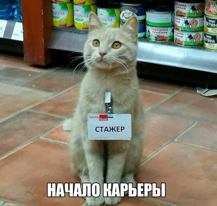 Плюсов ради