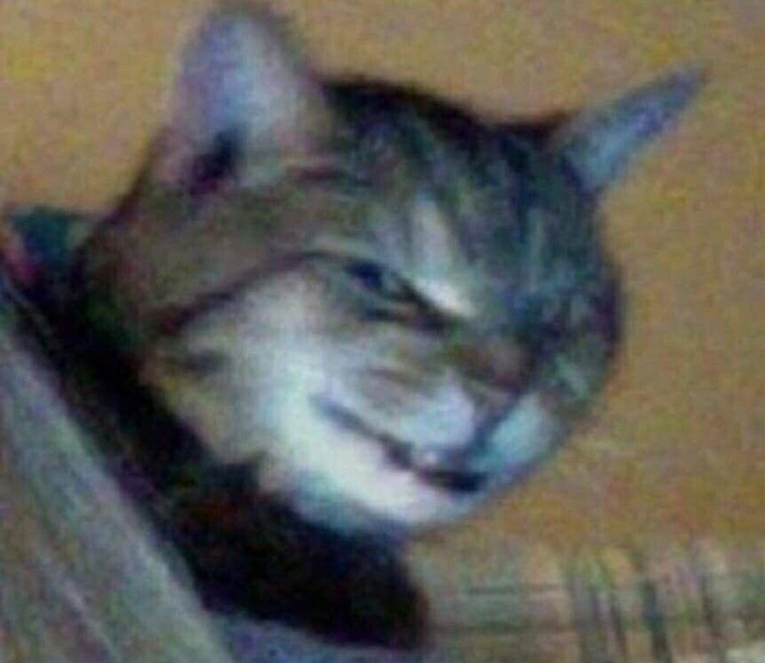       ) ,  , 