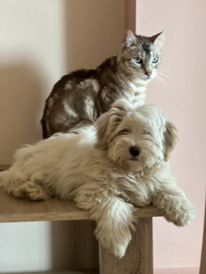 ����? �������� ��������))