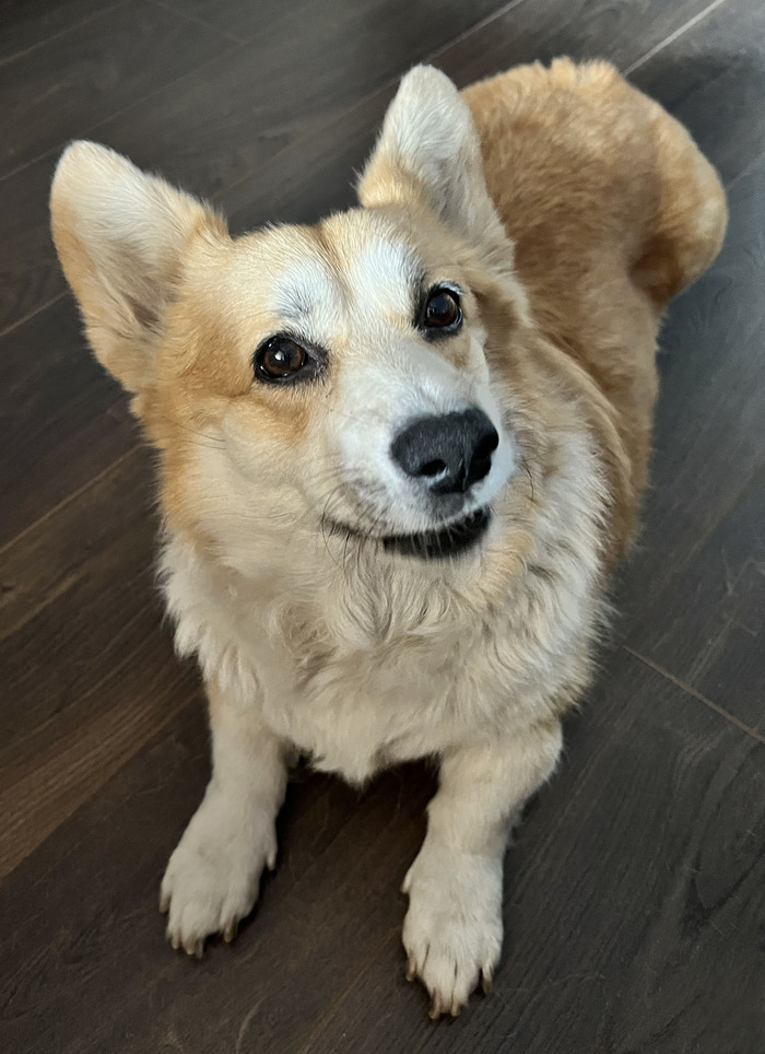 ����� ����� �� �����