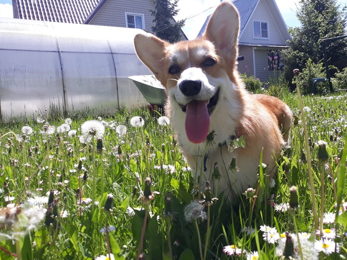 ��� ����� �� �����