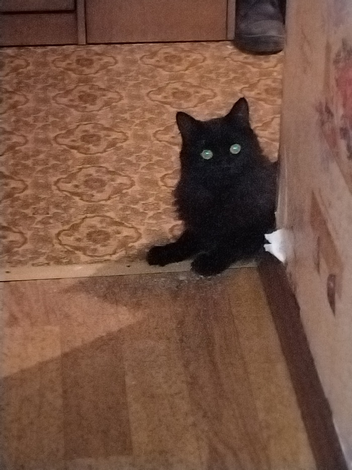 � ����� ����� � ��� ������?