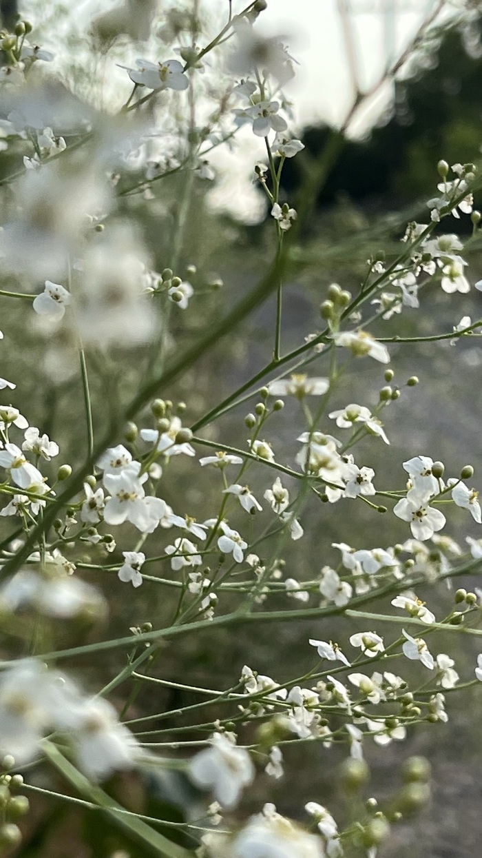 Главное в спешке остановиться...