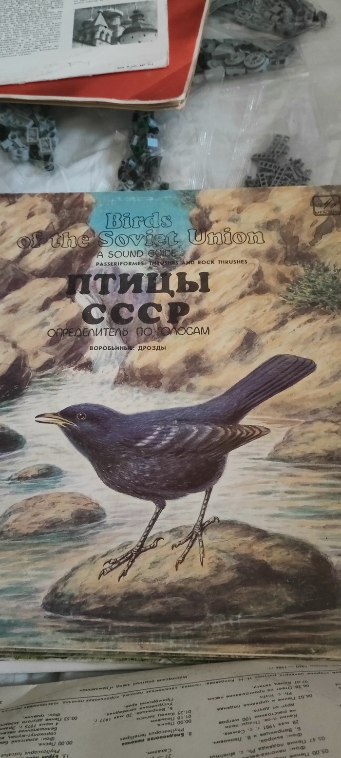       !))  ,  , , ,  , , , , 