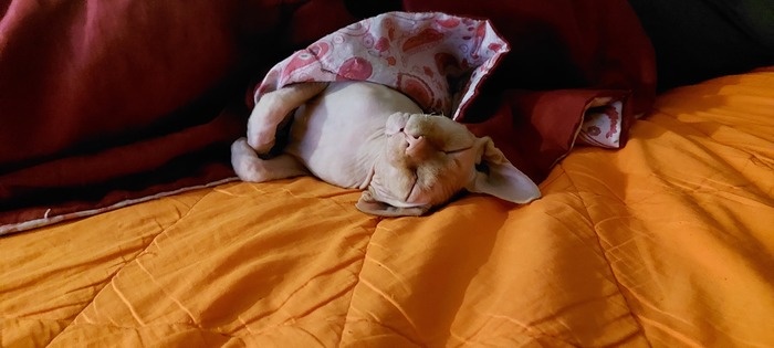 ������ ��� ���� ����, ��� �����