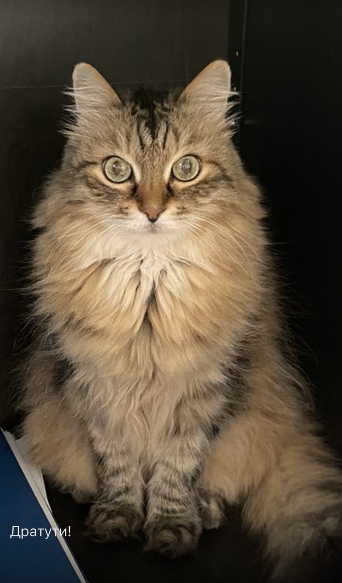 Ему тоже надо плюсов!