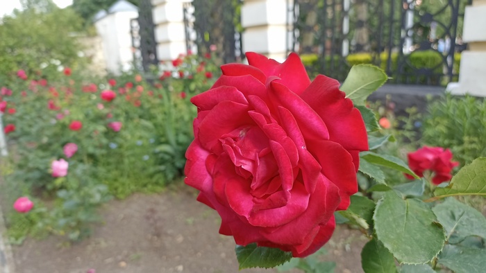 На волне волны | Пикабу