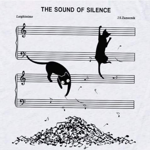 Два черных котенка