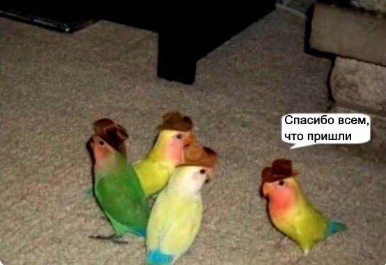 ���� � �������� ������������!