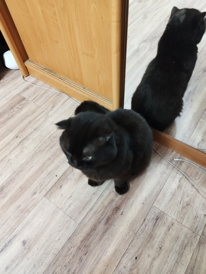 ����������� ��� ����� ������ ����� ������