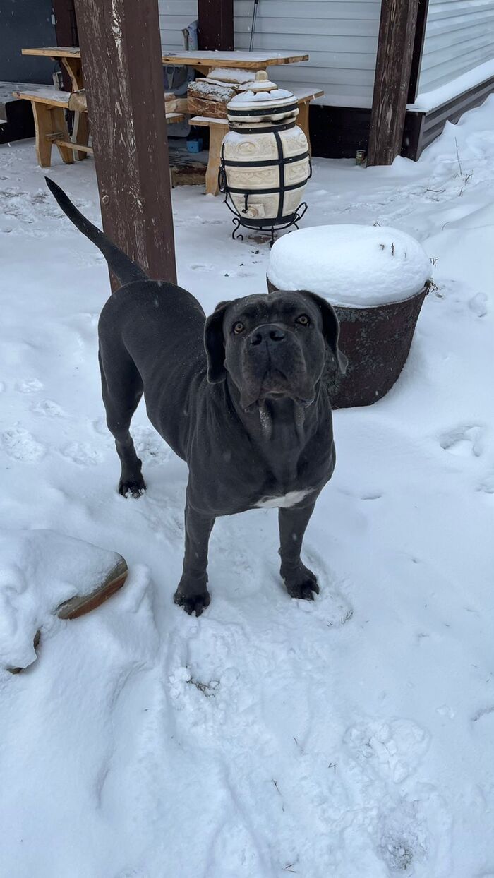 ������ ��������� �����