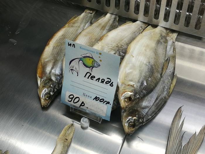 Ставь плюсцы,