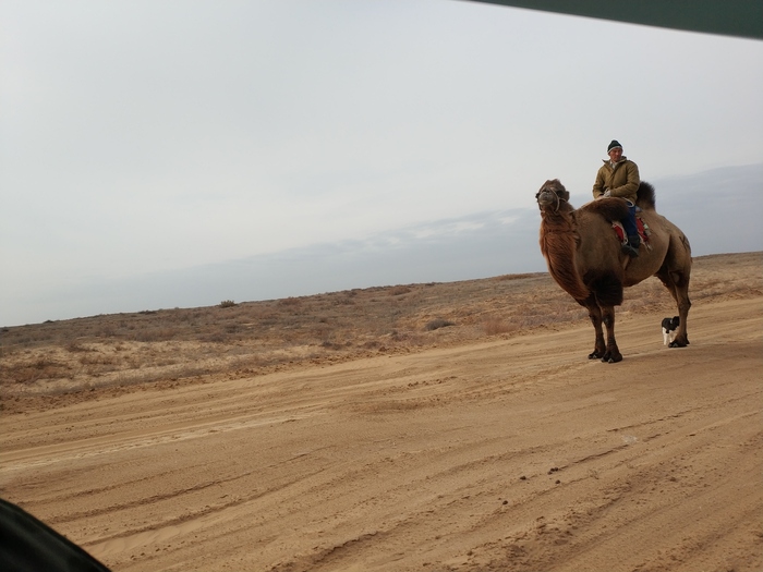 ���� ��� ����