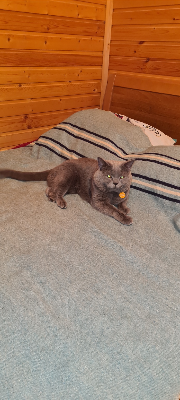 ��������� ������� ����