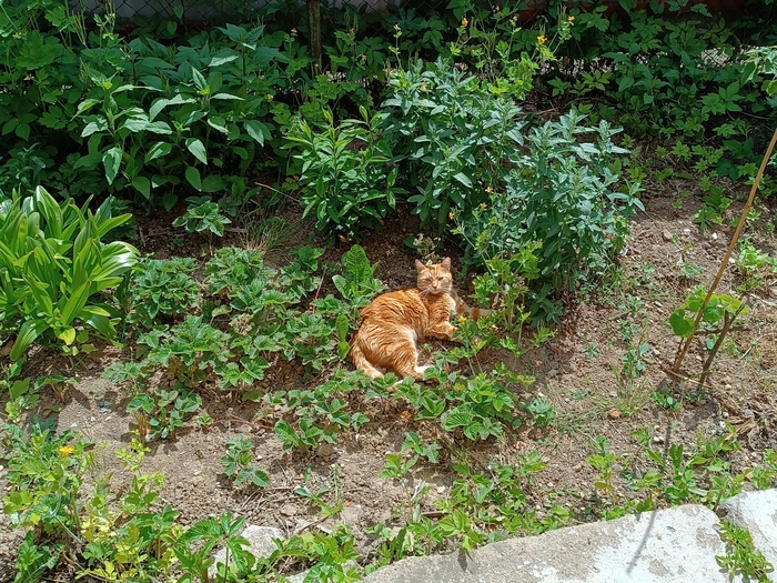 ������� �� ����������, �� �����