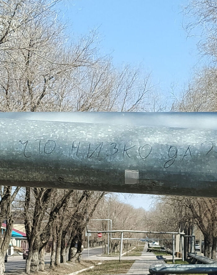 �� �������(