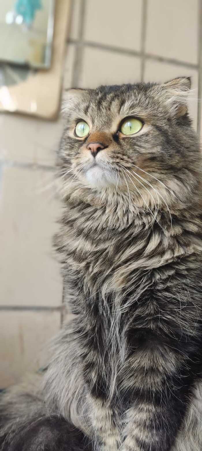 Отсыпьте плюсиков кому не жалко