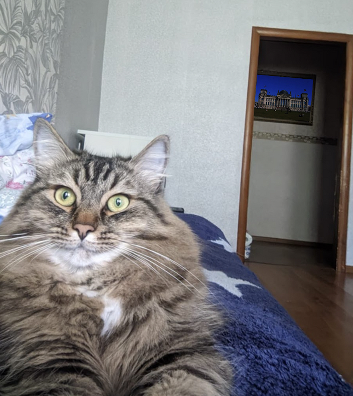 ��������� ��� ���������