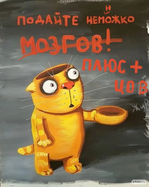 ! , , ,  ,   , , 