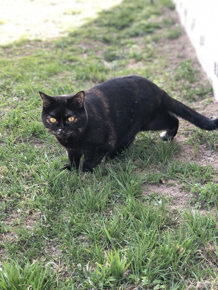 ��� ��� ����������? ������ �� ��������??