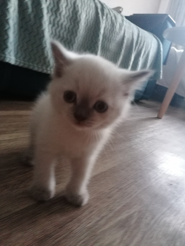 А плюсики не закончили раздавать?