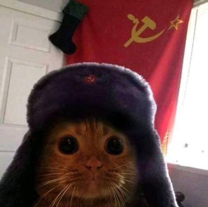     , , ,  
