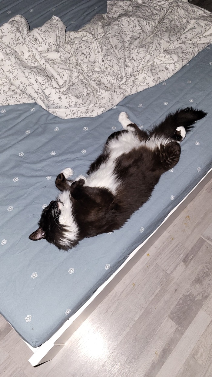 ������ ������