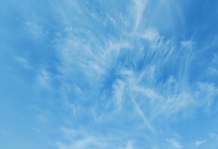 Питерский бунд