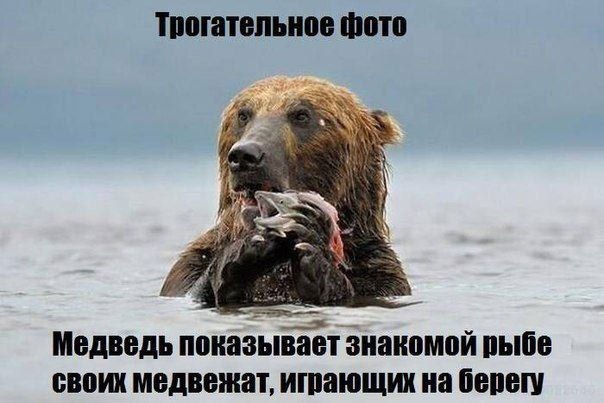 ������ ����