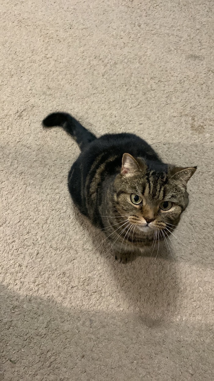 ������� ������ ��� ��������� �����) �� ����� �� ������)