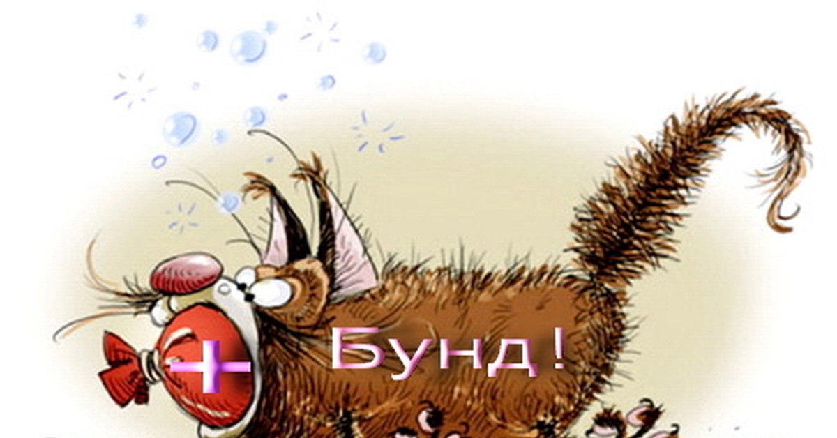 Кот с колбасой