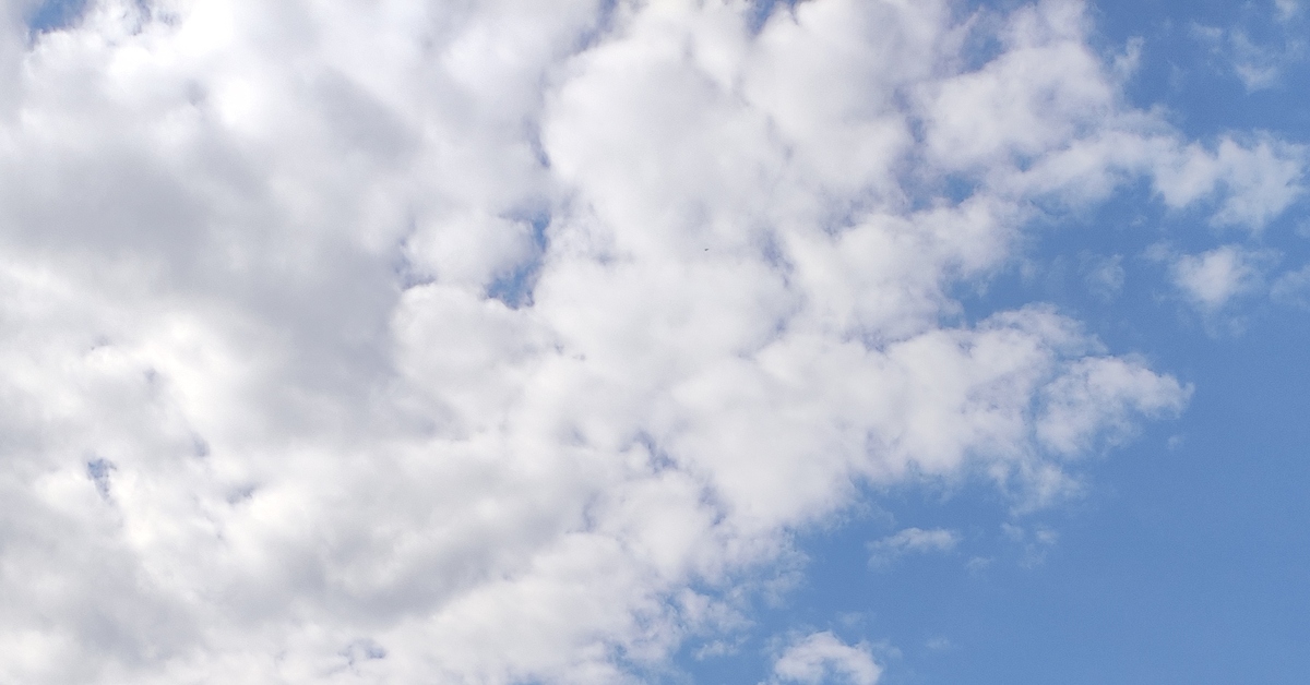 Тамбов, река Цна | Пикабу