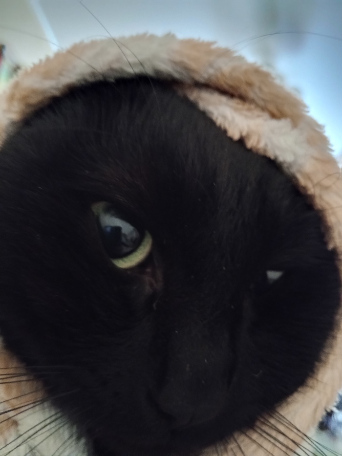 �� ��� ��� �� � ������ ������