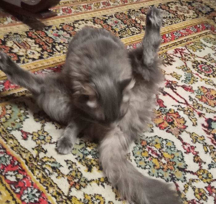 � ��� �� ������ ...