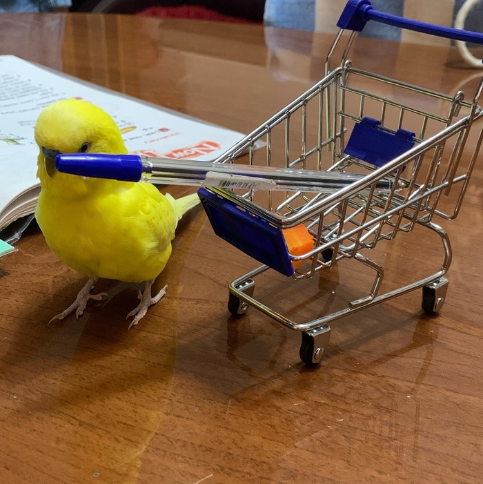 Со своей тачкой