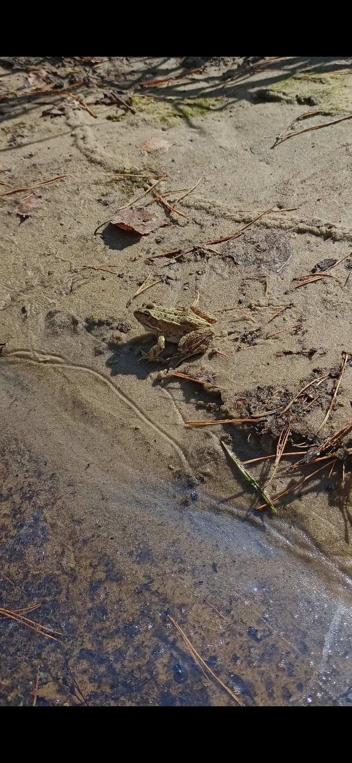 Со средой, товарищи!