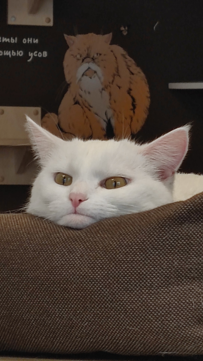 �� �������! �� ������������ � ������ ������!